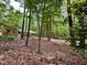 Home with red brick exterior, viewed from the wooded backyard at 204 N Elliott Rd, Chapel Hill, NC 27514