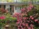 A well-maintained front yard showcasing a classic brick home with lush landscaping, including vibrant azaleas at 204 N Elliott Rd, Chapel Hill, NC 27514