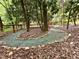 Charming backyard features a gravel pathway edged with stones, surrounded by lush trees and shrubs at 204 N Elliott Rd, Chapel Hill, NC 27514