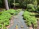 Tranquil walking path with lush greenery, pea gravel, and a peaceful escape at 204 N Elliott Rd, Chapel Hill, NC 27514