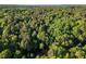 Expansive green forest landscape, symbolizing nature and tranquility at 300 Rabbit Run, Pittsboro, NC 27312