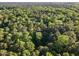 Overhead shot of the property's tree coverage for privacy at 300 Rabbit Run, Pittsboro, NC 27312