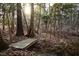 Scenic wooded landscape featuring a small bridge over a gentle stream, perfect for nature walks at 300 Rabbit Run, Pittsboro, NC 27312