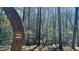 Woodland trail entrance marked with a 'Trail' sign, inviting exploration and outdoor adventures at 300 Rabbit Run, Pittsboro, NC 27312