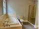 Bathroom with a large soaking tub, glass-enclosed shower, and a toilet, all designed for relaxation at 330 W King St, Hillsborough, NC 27278