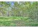 Lush grassy land with mature trees providing shade at 3521 Banks Rd, Raleigh, NC 27603