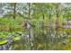 Picturesque pond featuring aquatic plants, a gentle waterfall, and a serene landscape for nature lovers at 3521 Banks Rd, Raleigh, NC 27603