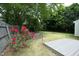 Landscaped backyard featuring a red rose bush, a small garden, and a wooden deck at 3521 Piedmont Dr, Raleigh, NC 27604