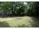 Large backyard with green grass, mature trees, and a storage shed in the distance at 3521 Piedmont Dr, Raleigh, NC 27604