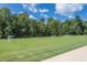 Enjoy the community soccer field and park with mature landscaping, irrigation and lush green grass at 404 Lily Pad Ct, Zebulon, NC 27597