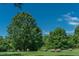 Picturesque pasture scene with grazing sheep under a canopy of mature trees at 4331 Millcreek Cir, Pittsboro, NC 27312