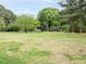 Expansive grassy yard featuring scattered trees and glimpses of a house in the background at 4501 Forest Dr, Holly Springs, NC 27540
