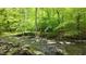 Serene creek with rocks surrounded by lush green trees providing a peaceful natural view at 608 Valen Ct, Chapel Hill, NC 27516