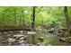 Scenic creek with rocky shoreline surrounded by lush green trees in a tranquil setting at 608 Valen Ct, Chapel Hill, NC 27516