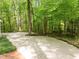Expansive driveway surrounded by mature trees and lush greenery, offering ample parking space at 608 Valen Ct, Chapel Hill, NC 27516