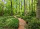 Scenic brick path winding through lush greenery, offering a tranquil and inviting approach to the property at 608 Valen Ct, Chapel Hill, NC 27516