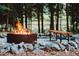 Cozy outdoor fire pit with bench seating surrounded by a tranquil forest setting at 665 Lonach Ln, Roxboro, NC 27574