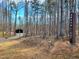 Private wooded drive to modern home; Moonlight sign with address indicates the property entrance at 665 Lonach Ln, Roxboro, NC 27574