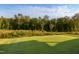 Expansive green backyard features lush lawn and trees for added privacy and seclusion from neighbors at 825 Flower Manor Dr, Wendell, NC 27591