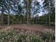 Scenic view of a serene pond surrounded by mature trees and lush landscaping in a quiet outdoor setting at 825 Flower Manor Dr, Wendell, NC 27591