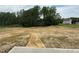 Large backyard with newly laid seed and green trees in the background at 146 Starry Sky Dr, Benson, NC 27504