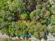 Aerial view of property boundaries surrounded by mature trees and the road at 203 Wood Cir, Chapel Hill, NC 27514