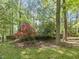 Backyard with lush landscaping featuring azaleas, mature trees, and a wooden fence at 203 Wood Cir, Chapel Hill, NC 27514