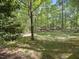 Large, flat backyard surrounded by mature trees, perfect for outdoor activities at 203 Wood Cir, Chapel Hill, NC 27514