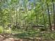 Spacious backyard surrounded by lush trees offering lots of privacy at 203 Wood Cir, Chapel Hill, NC 27514