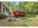 Backyard patio featuring stone pathway and colorful azalea bushes create a serene outdoor space at 204 Black Forest Dr, Clayton, NC 27527