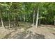 Image of a private and shady wooded lot showcasing the property's natural setting at 204 Black Forest Dr, Clayton, NC 27527