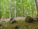 A beautiful wooded yard at 205 Wood Cir, Chapel Hill, NC 27514