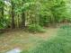 View of the backyard with trees and grass at 23 Great View Ct, Clayton, NC 27527