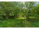 Lush, green wooded area offers a serene and secluded escape in the backyard at 270 Oak Park Blvd, Youngsville, NC 27596