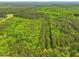 Aerial shot showcasing acreage with a cleared path through a dense forest at 3009 Pleasant Hill Church Rd, Siler City, NC 27344
