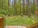 Serene backyard features a sprawling green lawn, mature trees, and decorative lighting at 3009 Pleasant Hill Church Rd, Siler City, NC 27344