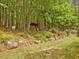 Secluded backyard oasis with mature trees, garden decor, and a wrought iron fence at 3009 Pleasant Hill Church Rd, Siler City, NC 27344