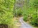 Gravel driveway leading to property surrounded by lush greenery, showcasing private access at 3009 Pleasant Hill Church Rd, Siler City, NC 27344