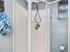 Walk-in shower with glass door, chrome showerhead, grab bar, and tiled walls at 3009 Pleasant Hill Church Rd, Siler City, NC 27344