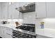Kitchen showcasing stainless steel appliances and contemporary white cabinetry at 3138 Curling Creek Dr, Apex, NC 27502