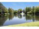 Expansive lake view featuring a central fountain, surrounded by lush trees and greenery at 4101 John S Raboteau Wynd, Raleigh, NC 27612