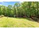 Spacious backyard with lush green lawn and privacy trees at 5803 Vintage Oak Ln, Raleigh, NC 27613