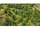 Birds-eye view of a tree-filled lot at 901D Gibson Rd, Mebane, NC 27302
