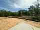 Large backyard of new home construction overlooks wooded area and small body of water at 1252 Randwick Valley Ct Ct, Zebulon, NC 27597