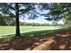 Picturesque golf course view with lush green grass and mature trees, perfect for golf enthusiasts at 2318 Carriage Oaks Dr, Raleigh, NC 27614