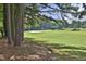 Scenic view of the golf course featuring lush green fairways and mature trees, from a shaded area at 2318 Carriage Oaks Dr, Raleigh, NC 27614