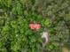 Aerial view of a red-roofed house surrounded by a dense forest of green trees at 2917 Ericka Dr, Hillsborough, NC 27278