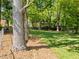 Beautiful, large backyard with mature trees and lush greenery provides ample space for outdoor activities at 305 Clarendon Cres, Raleigh, NC 27610