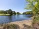 Wide view of the tranquil lake surrounded by lush greenery and mature trees, creating a serene and natural backdrop at 4521 Briarglen Ln, Holly Springs, NC 27540