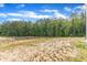 Expansive backyard offers serene wooded views with natural landscapes, creating a private retreat at 536 Gusty Ln, Zebulon, NC 27597